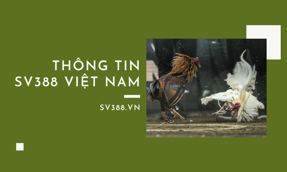 Thông tin về SV388 Việt Nam